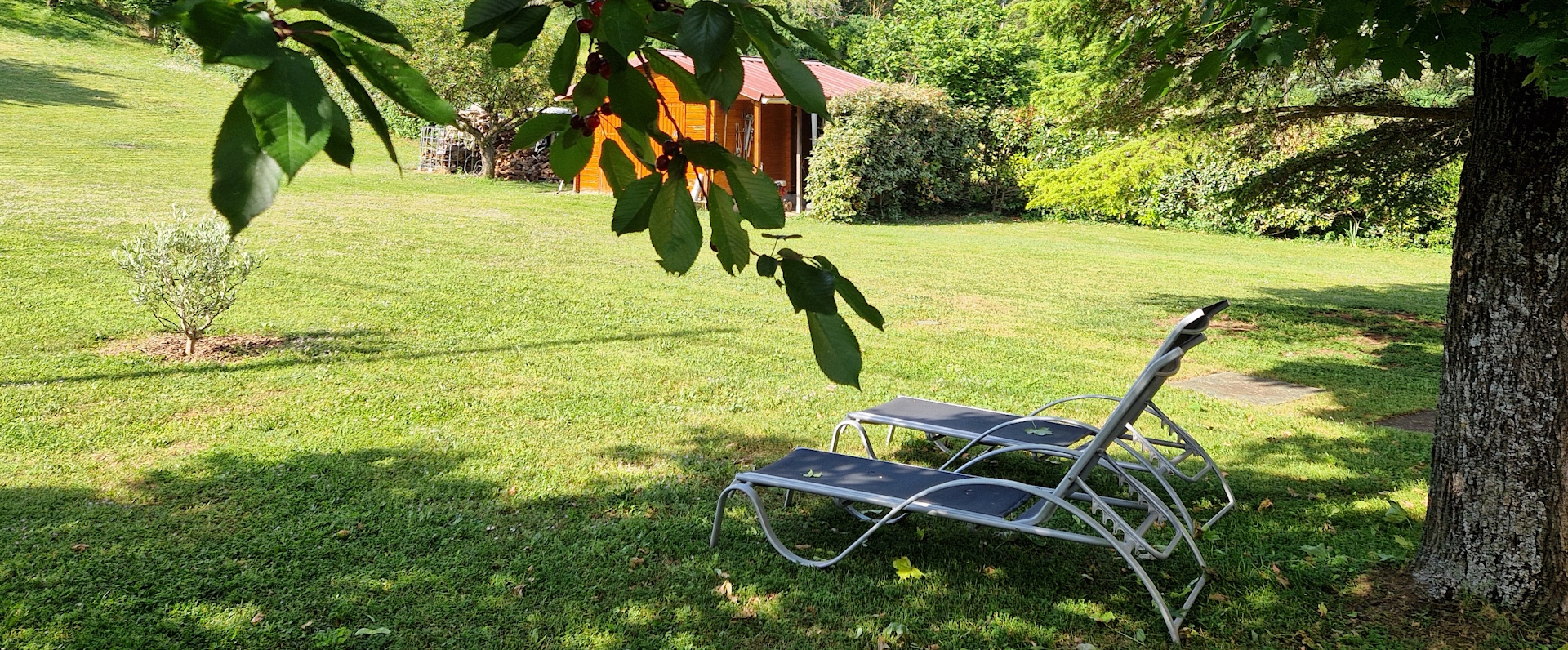 La jardin